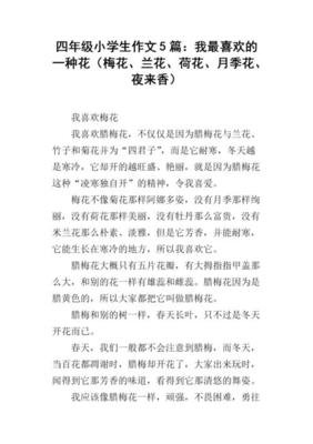我喜欢荷花作文(精选10篇)