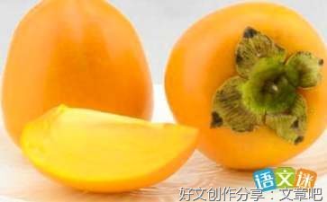 有关柿子的作文