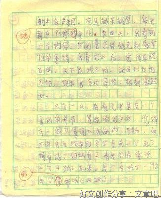 《神奇的书》的作文