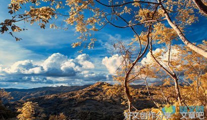 关于家风的作文1500字(精选10篇)