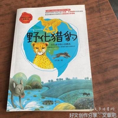 沈石溪精选动物绘本集（8册）读后感摘抄