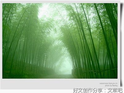 懒句子