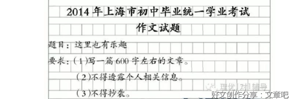 《这里也有乐趣》的作文