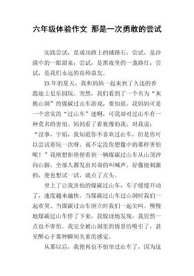 《一次成功的尝试》的作文