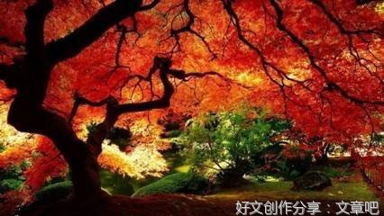 小桥流水人家作文500字