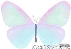 《鸢尾花》读后感摘抄