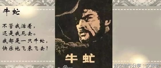 《牛虻》的读后感大全