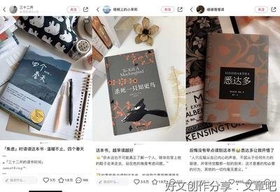《追宋》读后感摘抄