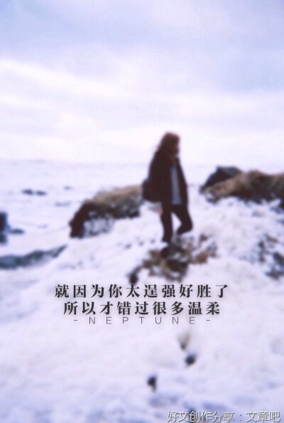 收集原创句好词好句