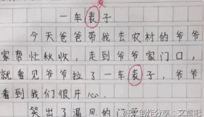 致母亲作文300字