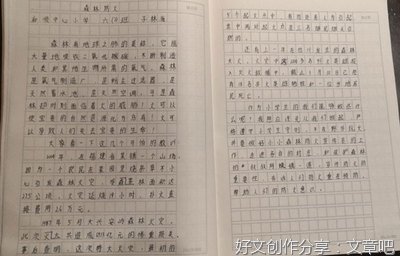 关于草原的作文
