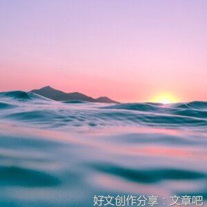 有关蜘蛛开店续写的作文