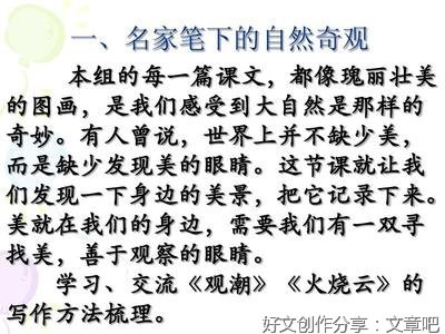 观潮作文