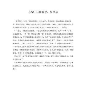 《采草莓》的作文