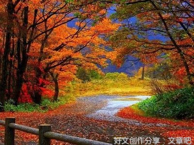 五彩缤纷的秋天经典作文