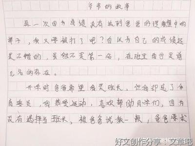 老师给我的道理作文400字