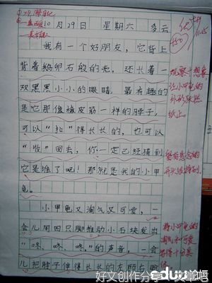 关于小动物的作文320字10篇