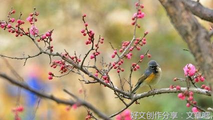 美好时光关于童年的回忆作文素材(通用10篇)