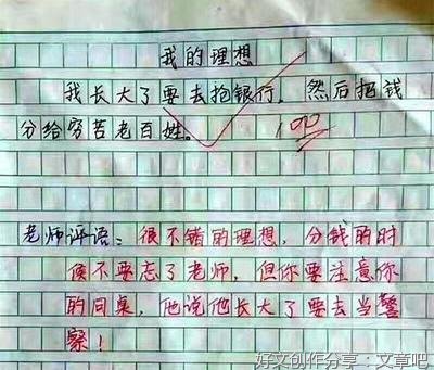 关于想象力的作文800字