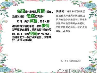 关于人间真情的作文450字800字