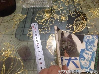 《魔犬》经典读后感有感