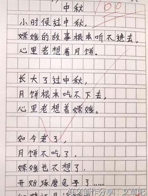 堵车作文大全