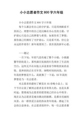 关于我是小小志愿者的作文