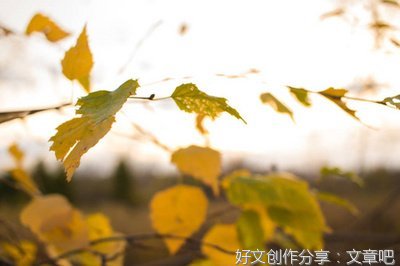 秋天的天空作文