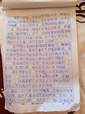 关于小动物的一篇作文50字