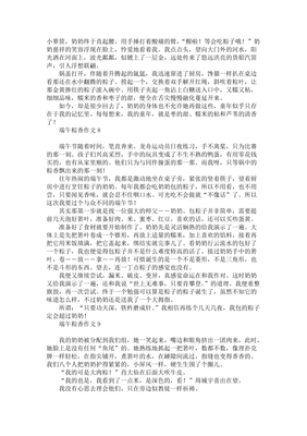 端午节粽香情作文