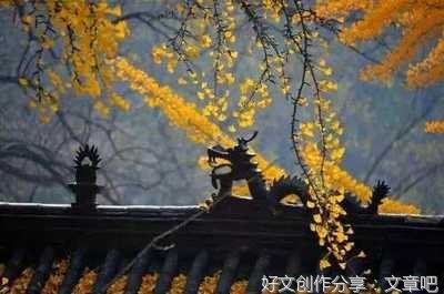 关于第三种绝色的句子