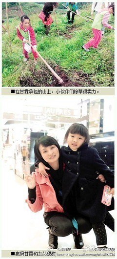 关于野草的作文