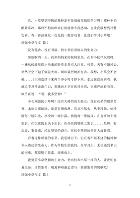坚强的小草通用作文