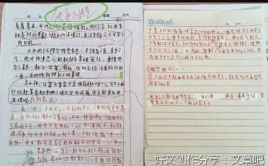 关于坚持不懈的作文