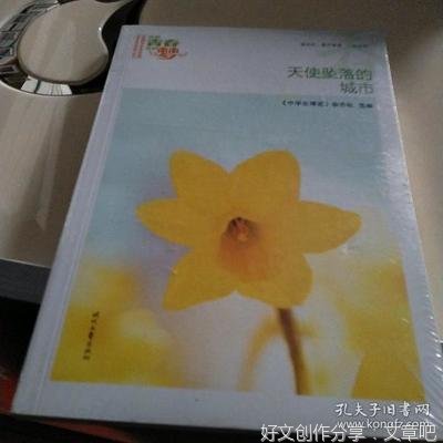 《天使》的作文