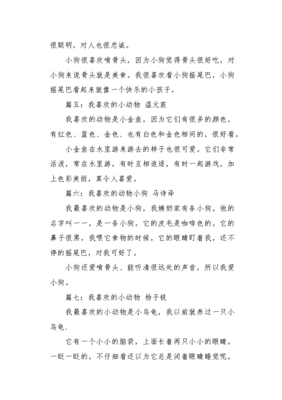 关于我喜欢的小动物的作文800字