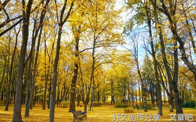 关于写秋天的作文800字