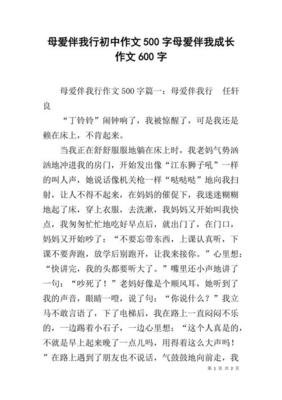 关于母爱的初中作文600字