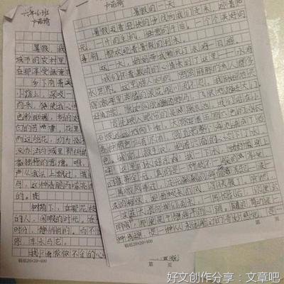我的暑假生活作文45010篇