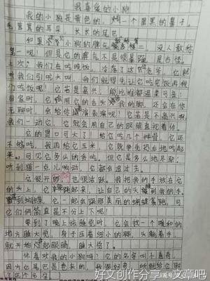 描写动物外貌的作文200字600字