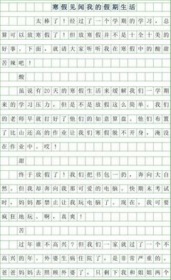 寒假里的一见识作文300字