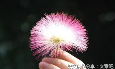 暑假假日生活作文(精选10篇)