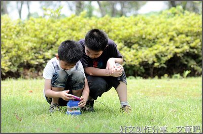 关于我的小伙伴作文400字800字