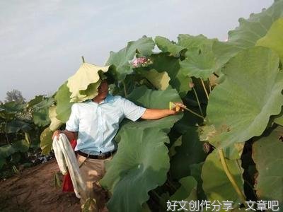 老师来做客我怎么招待作文100字