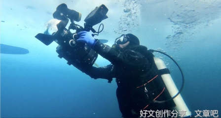 《解离态》好看吗？经典观后感锦集