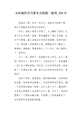 关于冬天的第一场雪的作文