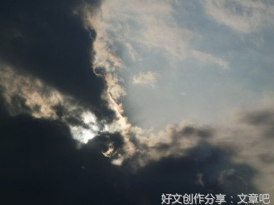 向阳而生经典作文