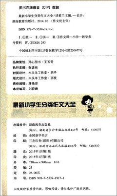 开心过大年通用作文