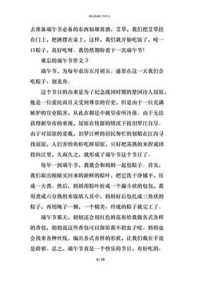 难忘的端午节作文450