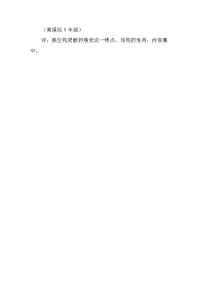 关于狗的作文说明文500字